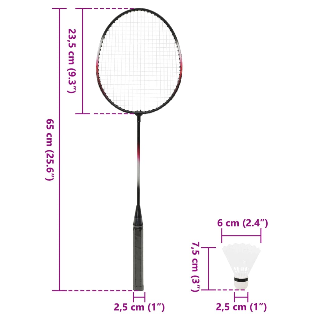 vidaXL Badminton Set with 2 Rackets. Net & Storage Case 292x30x152 cm
