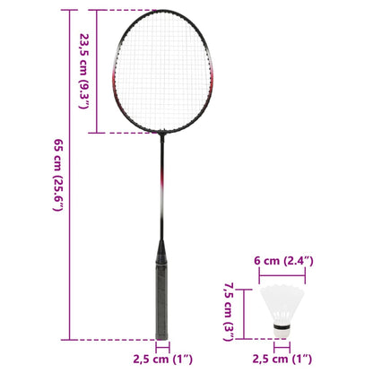 vidaXL Badminton Set with 2 Rackets. Net & Storage Case 292x30x152 cm