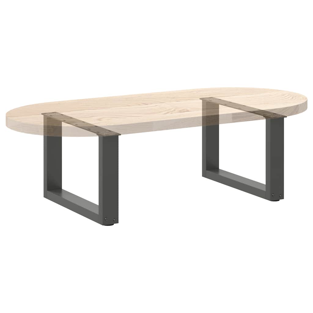 vidaXL Coffee Table Legs U-Shaped 2 pcs Anthracite 50x(30-31) cm Steel