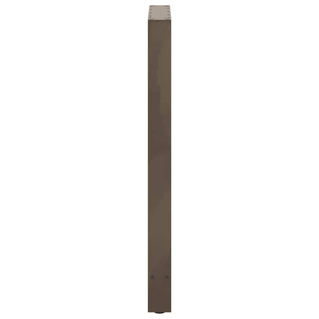 vidaXL Bar Table Legs Natural Steel 2 pcs 60x(100-101) cm Steel