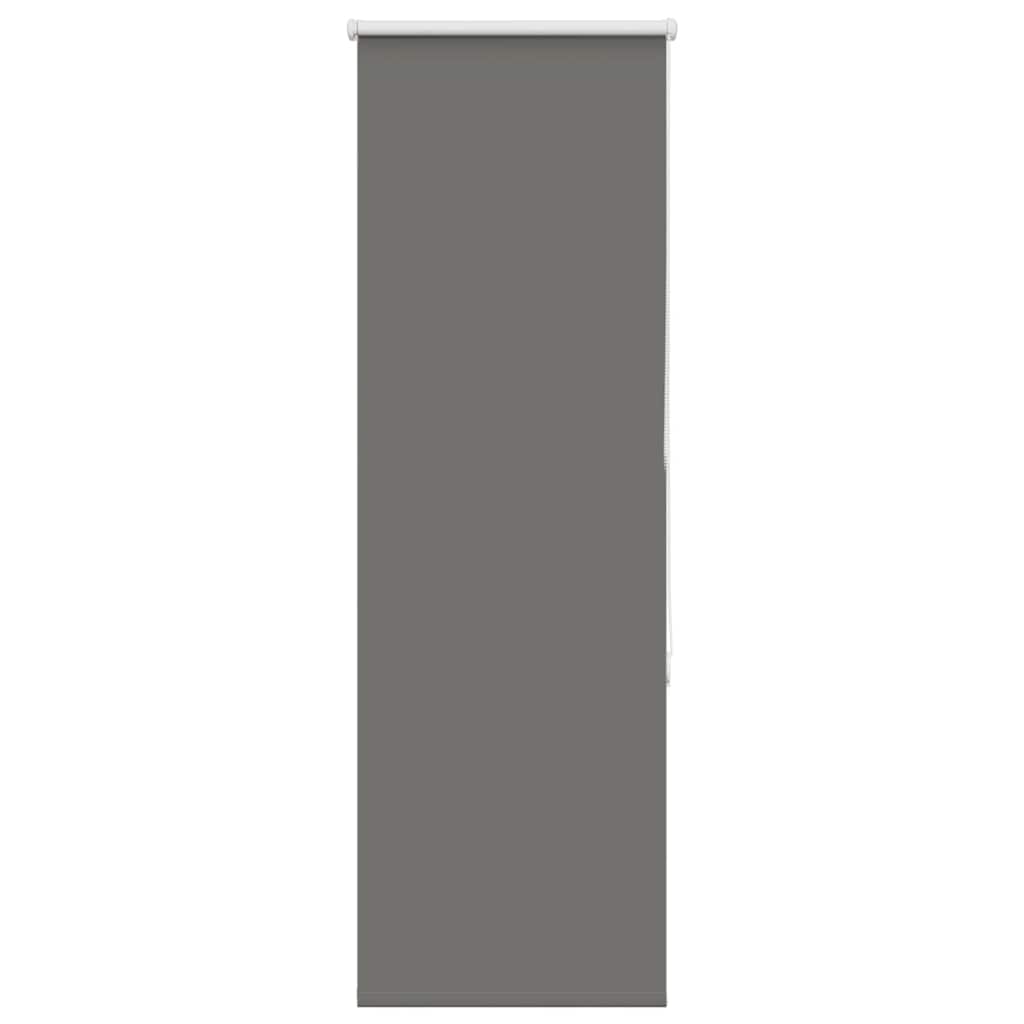 vidaXL Roller Blind Blackout Grey 55x150 cm Fabric Width 50.7 cm Polyester
