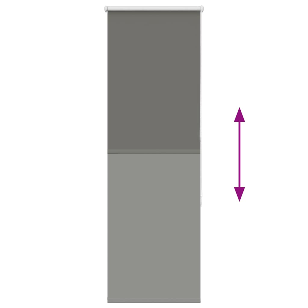 vidaXL Roller Blind Blackout Grey 55x150 cm Fabric Width 50.7 cm Polyester