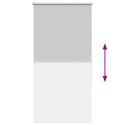 vidaXL Roller Blind Blackout Light Grey 65x175 cm Fabric Width 60.7 cm Polyester