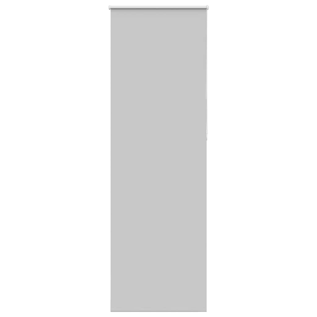 vidaXL Roller Blind Blackout Light Grey 65x210 cm Fabric Width 60.7 cm Polyester