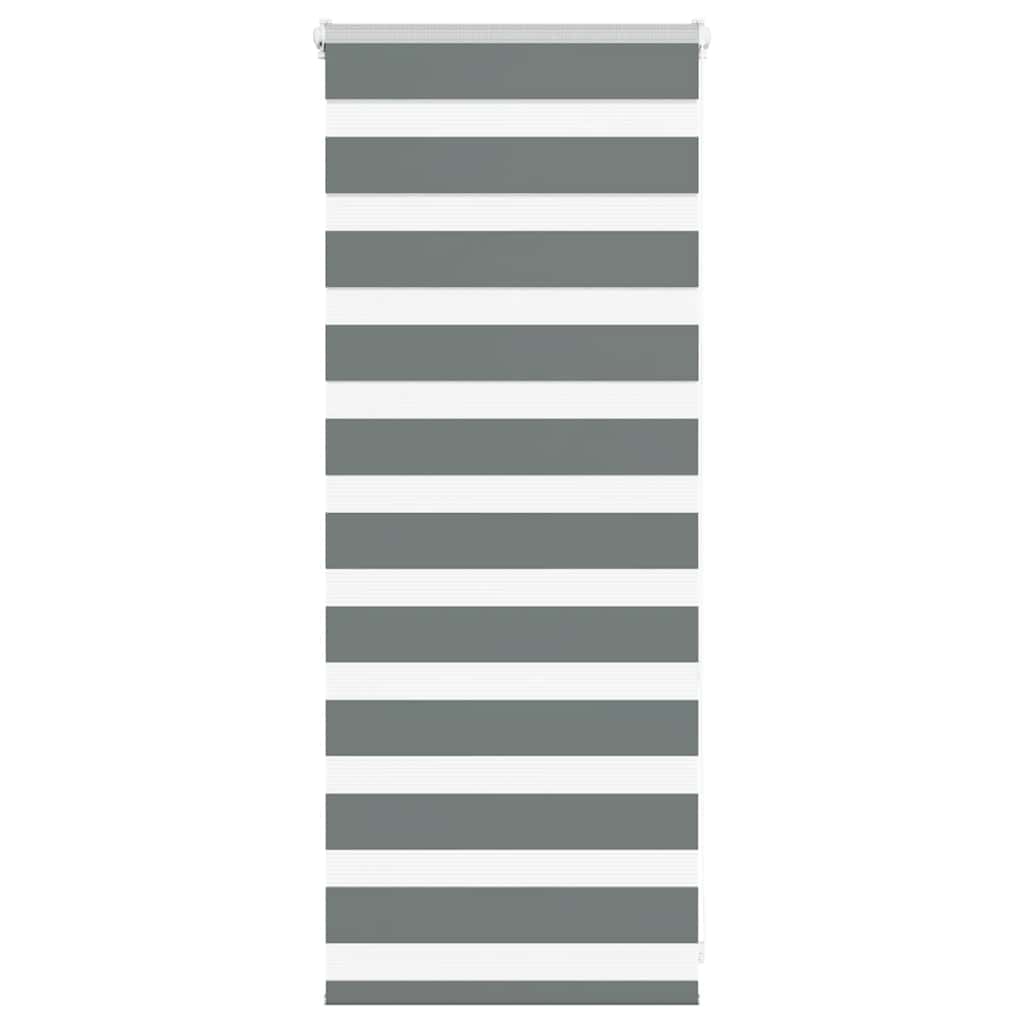 vidaXL Zebra Blind Dark Grey 55x100 cm Fabric Width 50,9 cm Polyester
