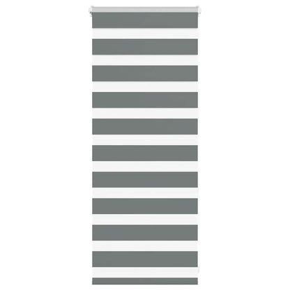 vidaXL Zebra Blind Dark Grey 55x100 cm Fabric Width 50,9 cm Polyester
