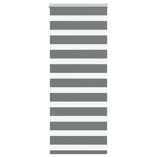 vidaXL Zebra Blind Dark Grey 55x100 cm Fabric Width 50,9 cm Polyester