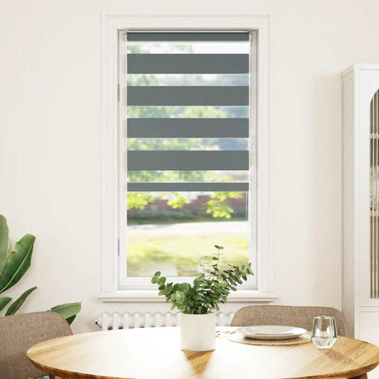 vidaXL Zebra Blind Dark Grey 55x100 cm Fabric Width 50,9 cm Polyester