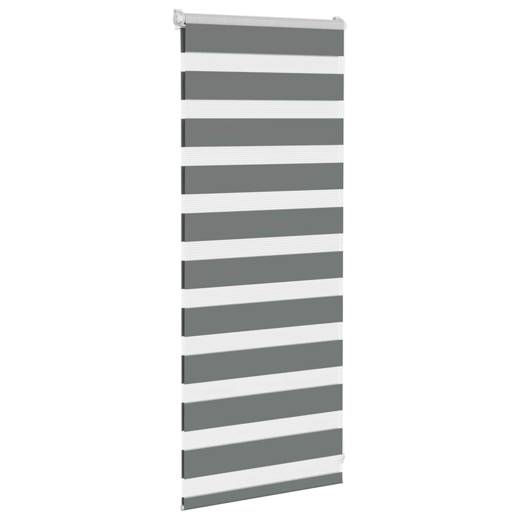 vidaXL Zebra Blind Dark Grey 55x100 cm Fabric Width 50,9 cm Polyester