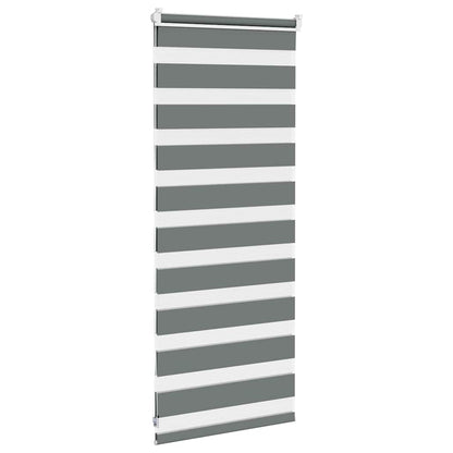 vidaXL Zebra Blind Dark Grey 55x100 cm Fabric Width 50,9 cm Polyester