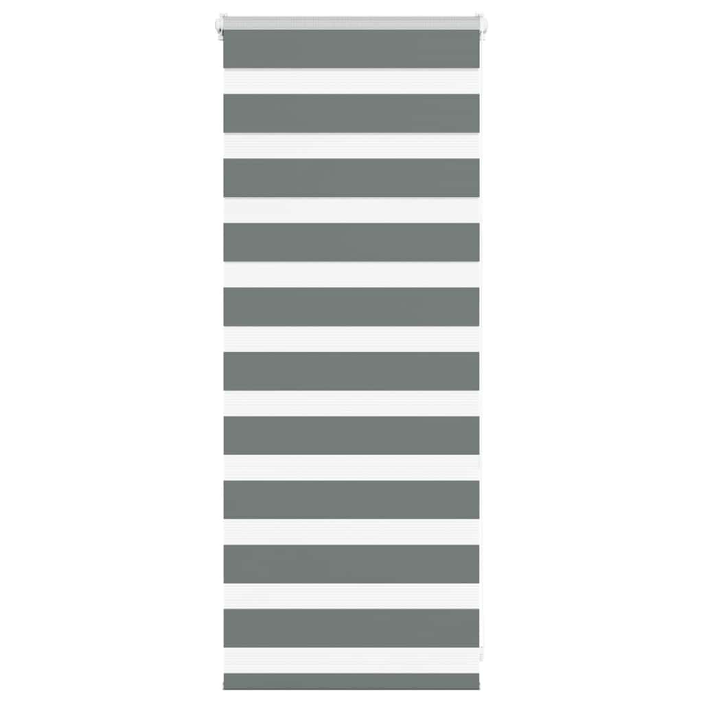vidaXL Zebra Blind Dark Grey 60x100 cm Fabric Width 55.9 cm Polyester