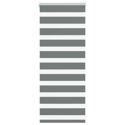 vidaXL Zebra Blind Dark Grey 60x100 cm Fabric Width 55.9 cm Polyester