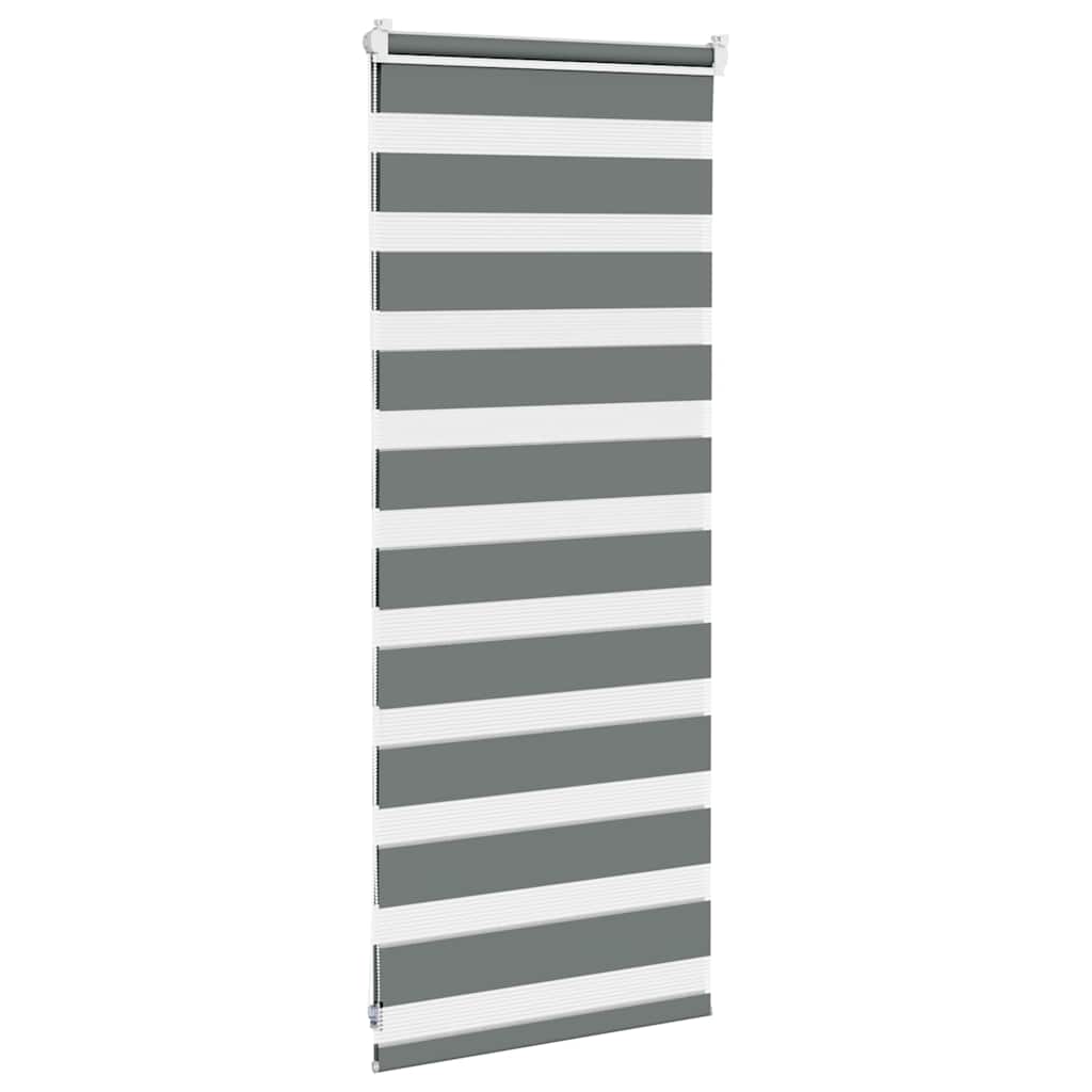 vidaXL Zebra Blind Dark Grey 60x100 cm Fabric Width 55,9 cm Polyester