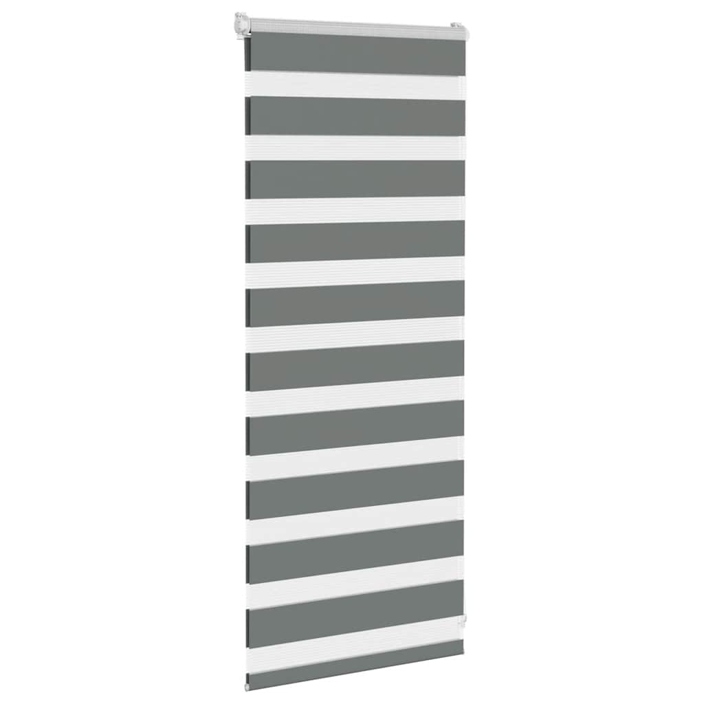vidaXL Zebra Blind Dark Grey 65x100 cm Fabric Width 60,9 cm Polyester