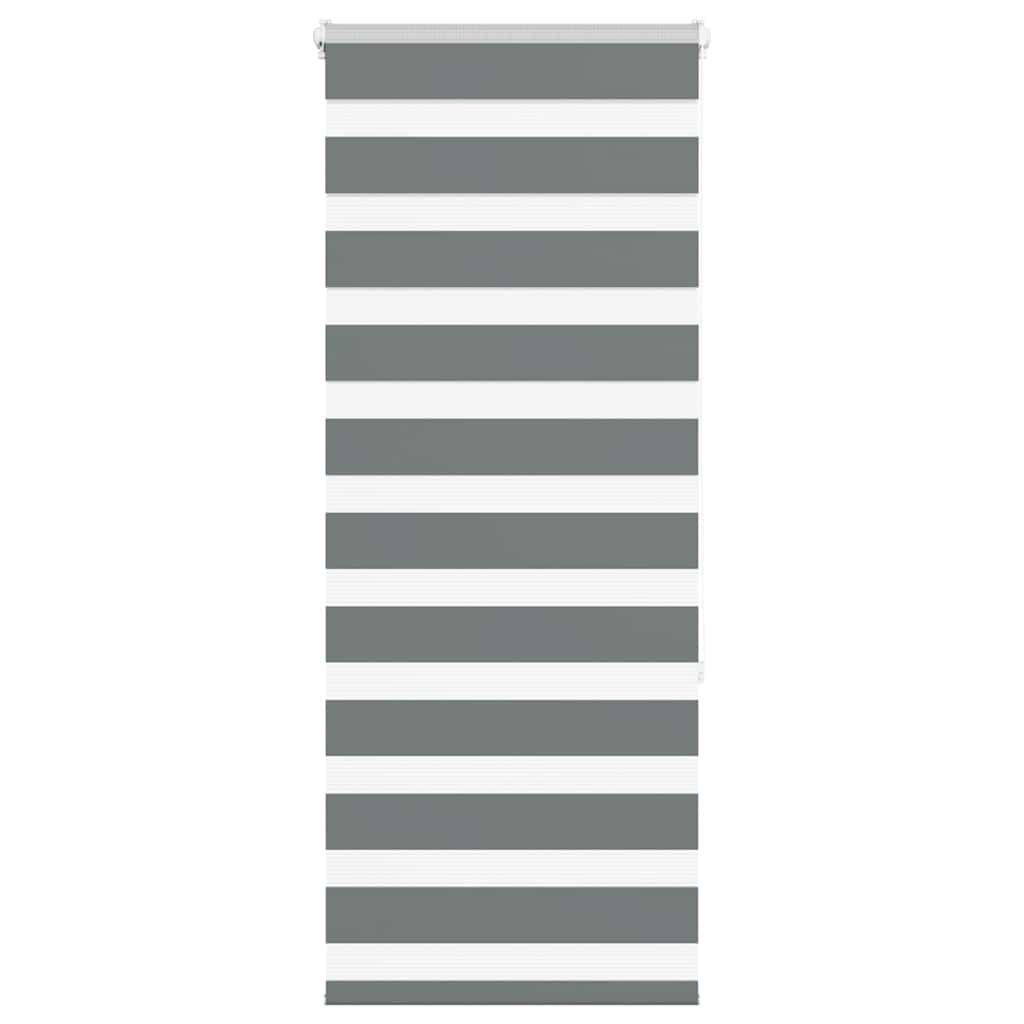 vidaXL Zebra Blind Dark Grey 55x150 cm Fabric Width 50,9 cm Polyester