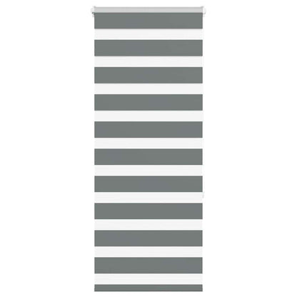 vidaXL Zebra Blind Dark Grey 55x150 cm Fabric Width 50,9 cm Polyester