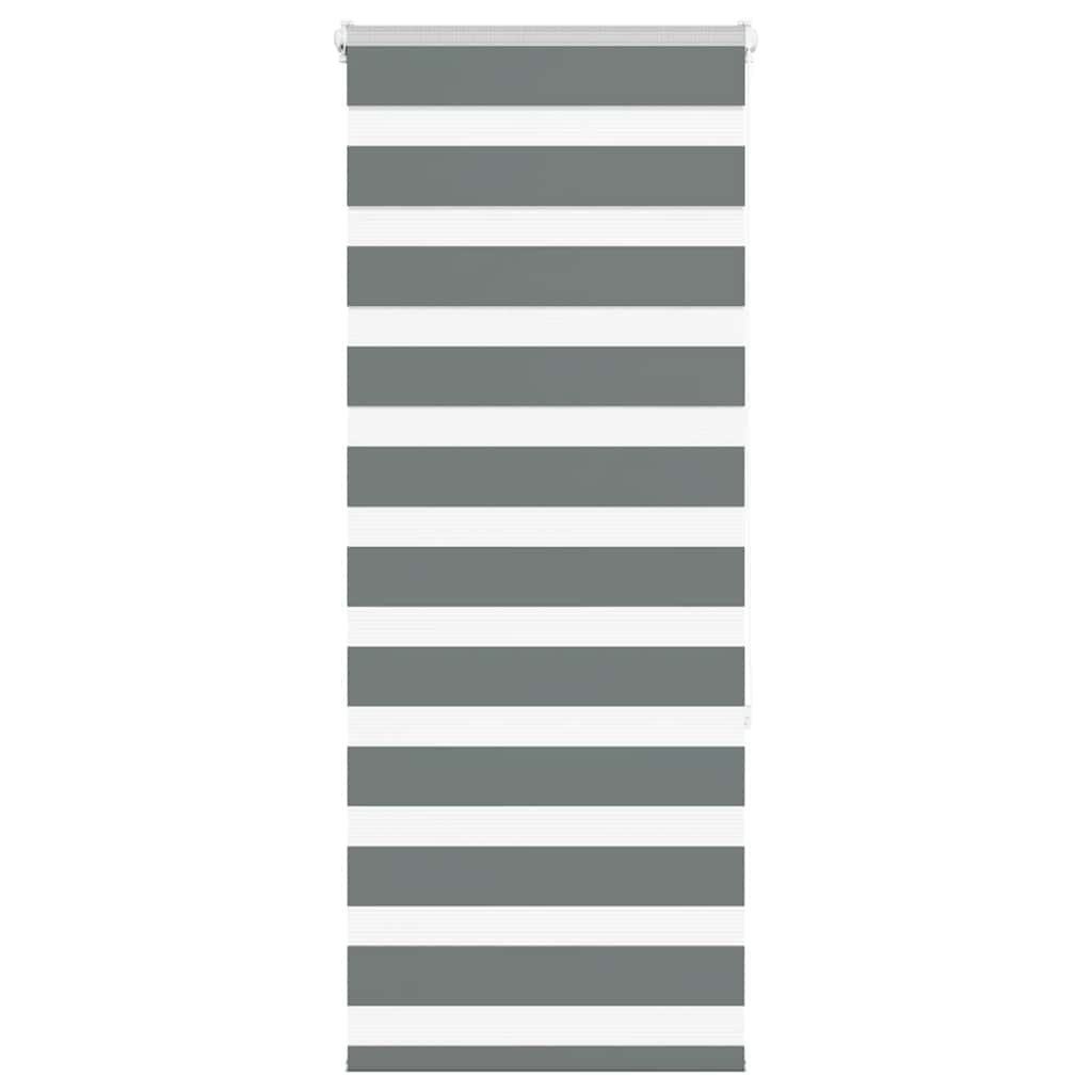 vidaXL Zebra Blind Dark Grey 60x150 cm Fabric Width 55,9 cm Polyester