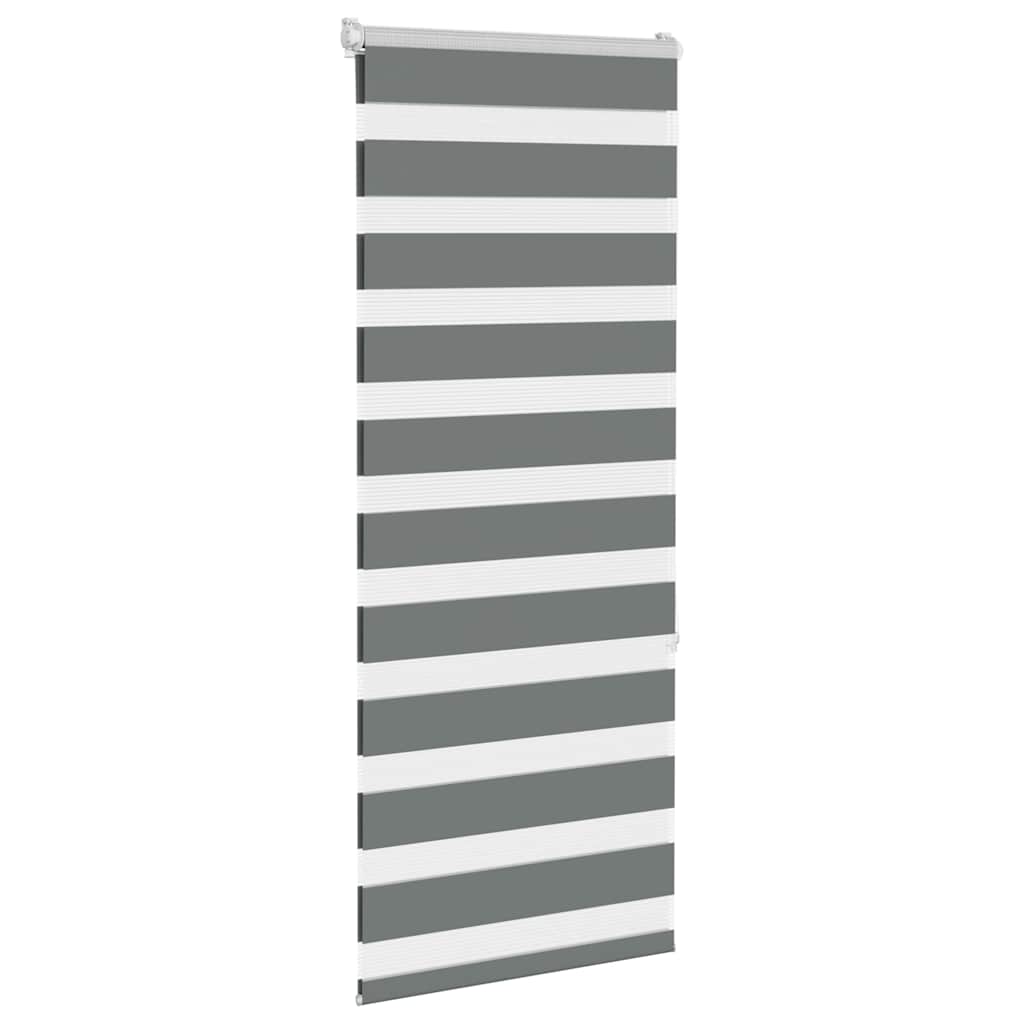 vidaXL Zebra Blind Dark Grey 60x150 cm Fabric Width 55,9 cm Polyester