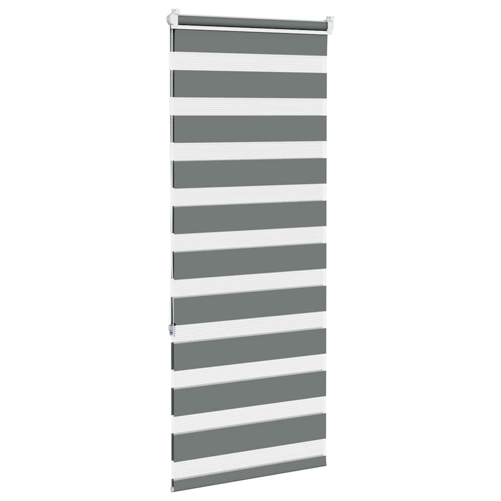 vidaXL Zebra Blind Dark Grey 60x150 cm Fabric Width 55,9 cm Polyester