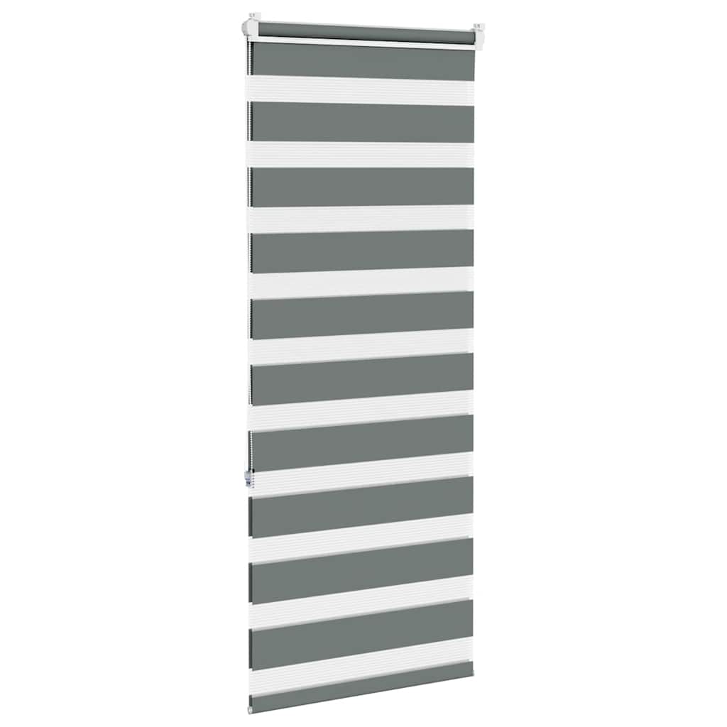 vidaXL Zebra Blind Dark Grey 65x150 cm Fabric Width 60,9 cm Polyester