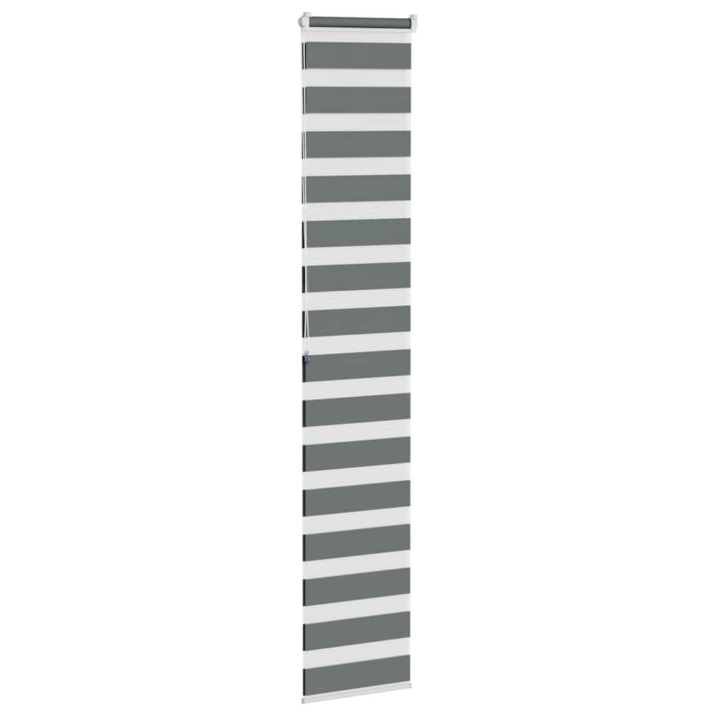 vidaXL Zebra Blind Dark Grey 50x200 cm Fabric Width 45,9 cm Polyester