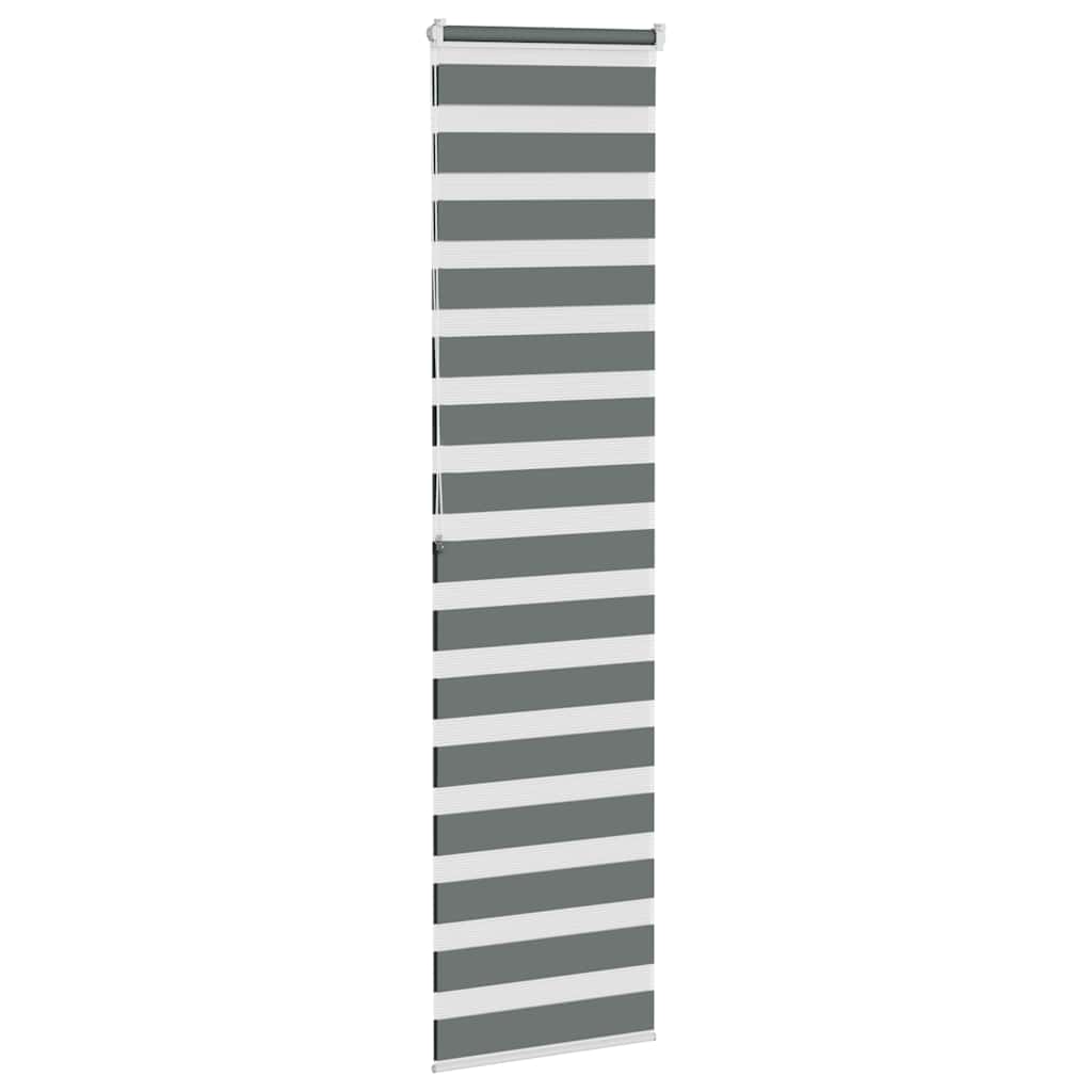 vidaXL Zebra Blind Dark Grey 60x200 cm Fabric Width 55,9 cm Polyester