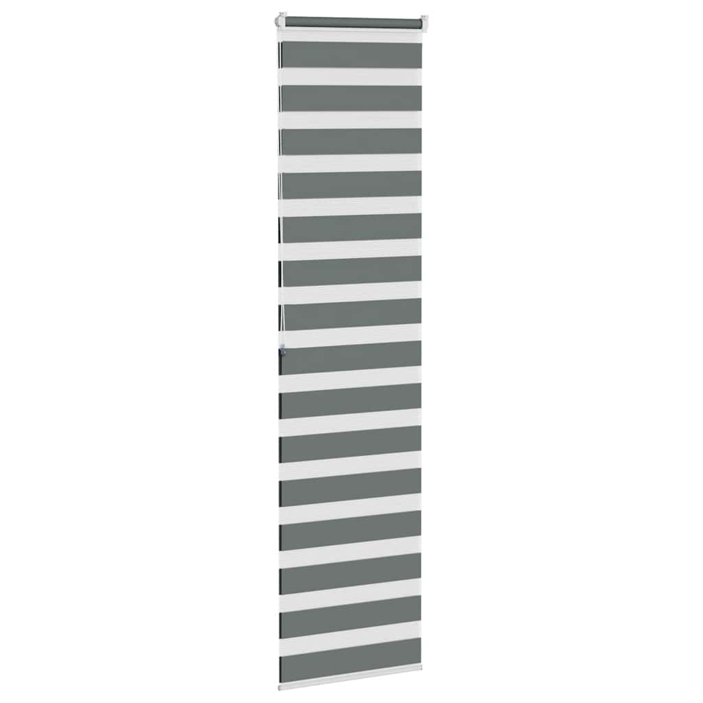 vidaXL Zebra Blind Dark Grey 65x200 cm Fabric Width 60,9 cm Polyester