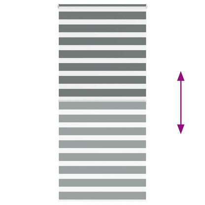 vidaXL Zebra Blind Dark Grey 105x200cm Fabric Width 100.9 cm Polyester