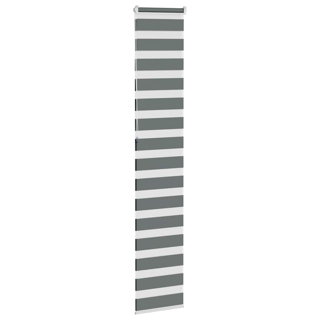 vidaXL Zebra Blind Dark Grey 40x230 cm Fabric Width 35,9 cm Polyester
