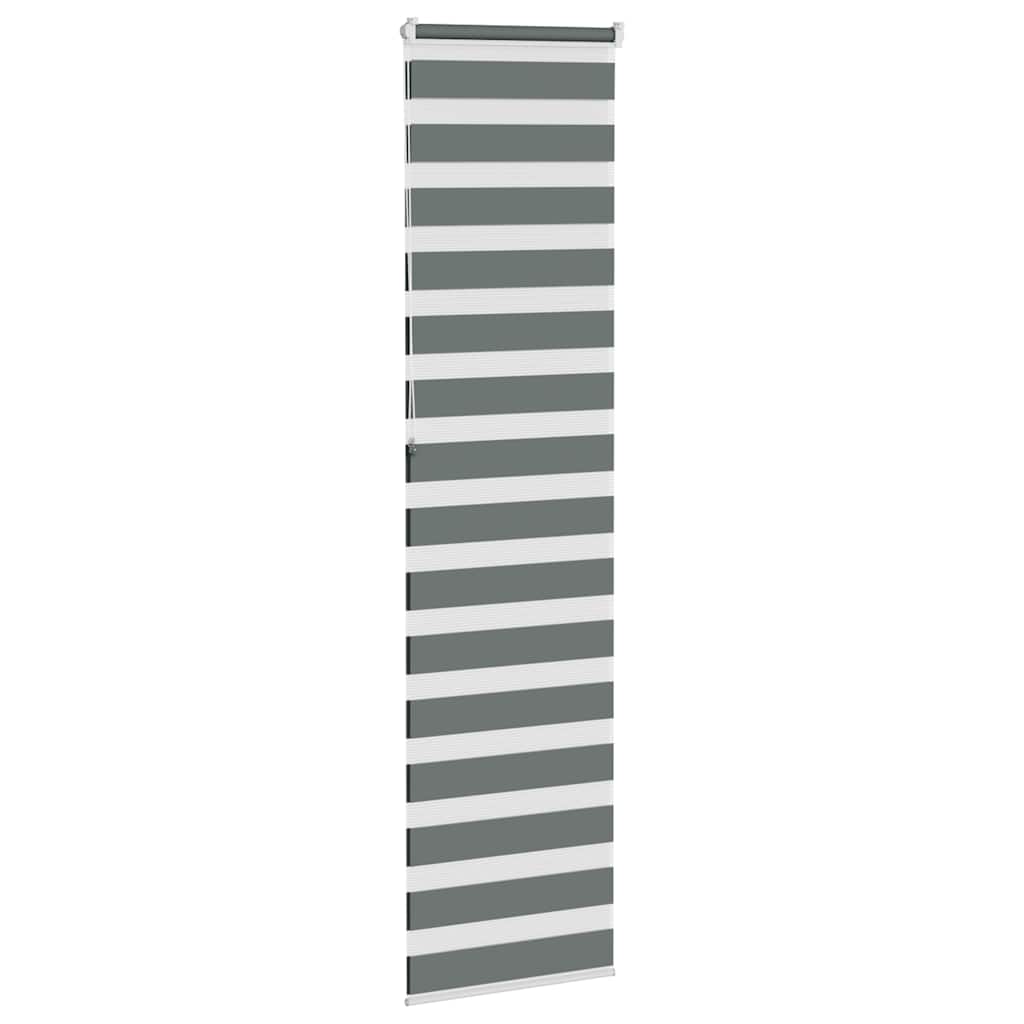 vidaXL Zebra Blind Dark Grey 55x230 cm Fabric Width 50,9 cm Polyester