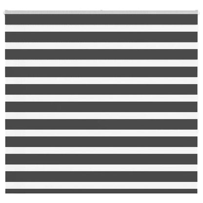 vidaXL Zebra Blind Black 160x150 cm Fabric Width 155,9 cm Polyester