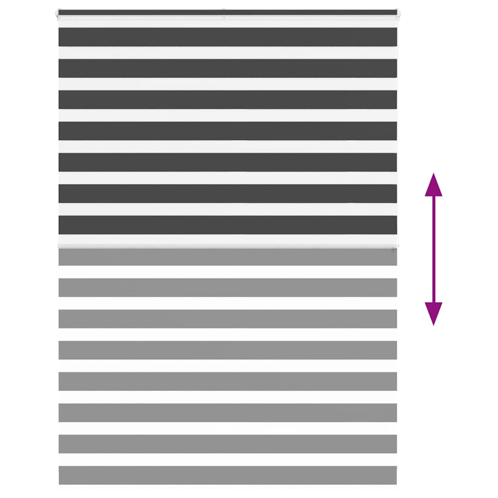 vidaXL Zebra Blind Black 155x200 cm Fabric Width 150,9 cm Polyester