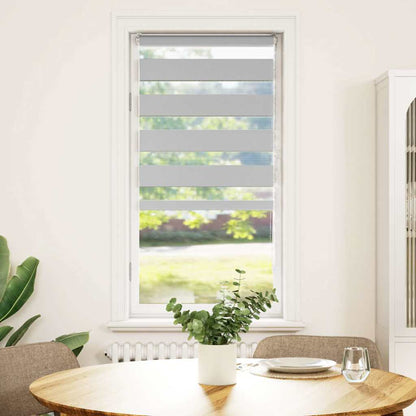 vidaXL Zebra Blind Light Grey 55x100 cm Fabric Width 50,9 cm Polyester