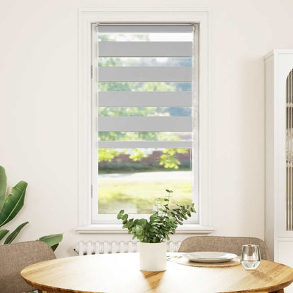 vidaXL Zebra Blind Light Grey 60x100 cm Fabric Width 55,9 cm Polyester