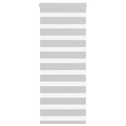 vidaXL Zebra Blind Light Grey 65x100 cm Fabric Width 60.9 cm Polyester