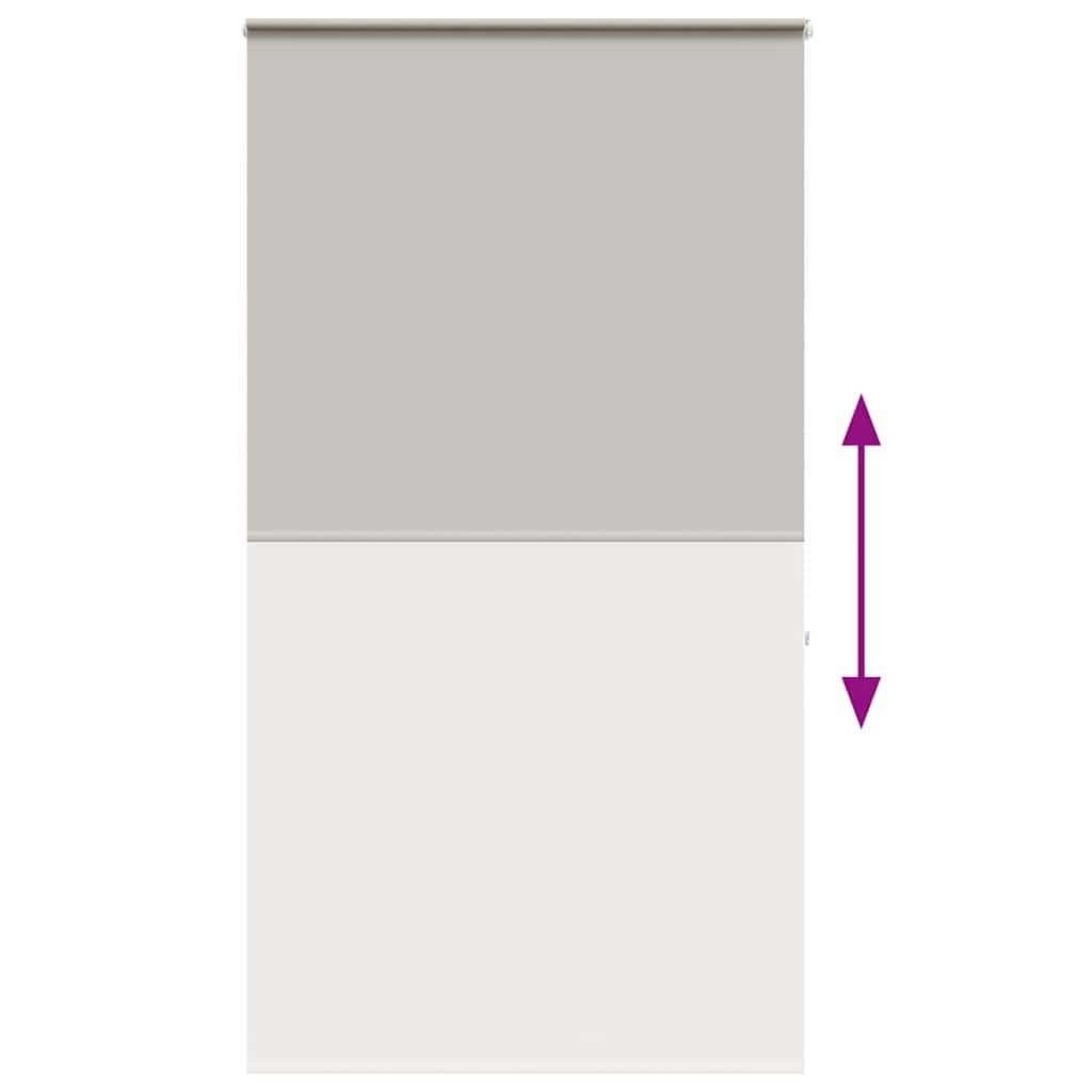 vidaXL Shower Roller Blind with Cassette 120x240 cm Fabric Width 116 cm