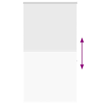 vidaXL Shower Roller Blind with Cassette 120x240 cm Fabric Width 116 cm