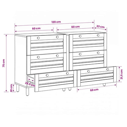 vidaXL Storage Cabinets 2 pcs 120 x 33 x 75 cm Solid Mango Wood