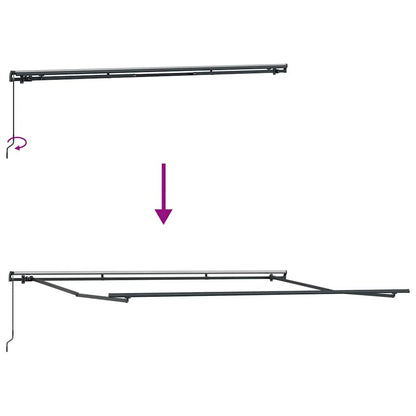 vidaXL Manual Retractable Awning Brown 500x300 cm
