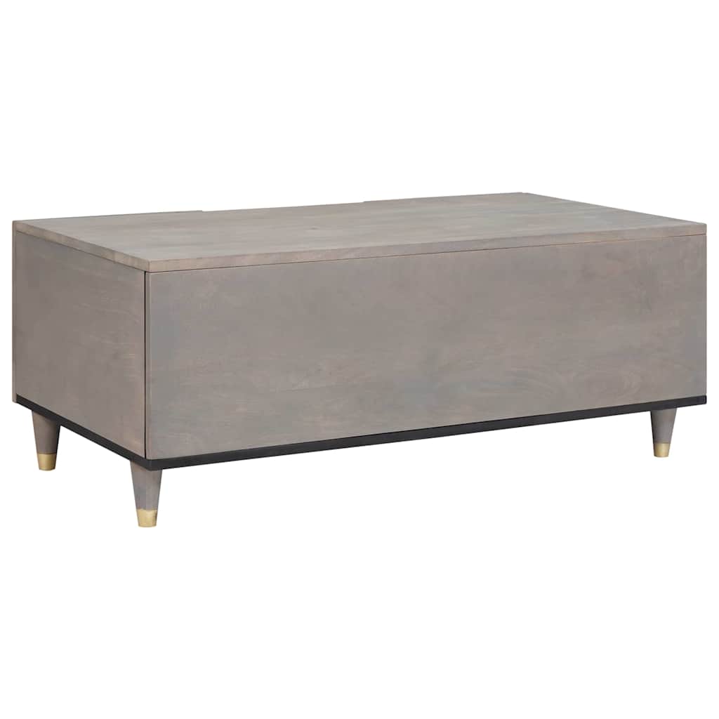vidaXL Coffee Table Grey 100 x 54 x 40 cm Solid Mango Wood