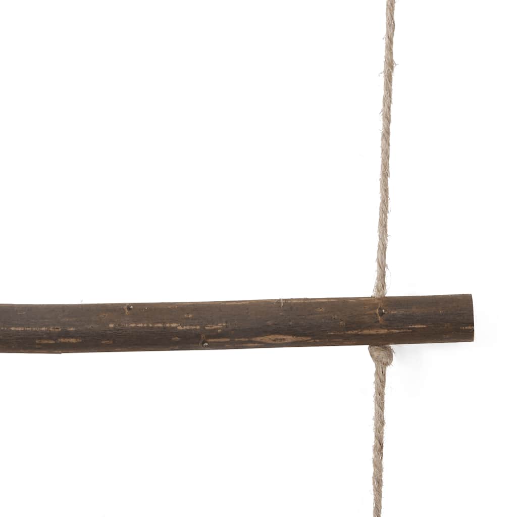 vidaXL Wall Decorations Ladder-Shaped 2 pcs 30x100 cm Natural Branch