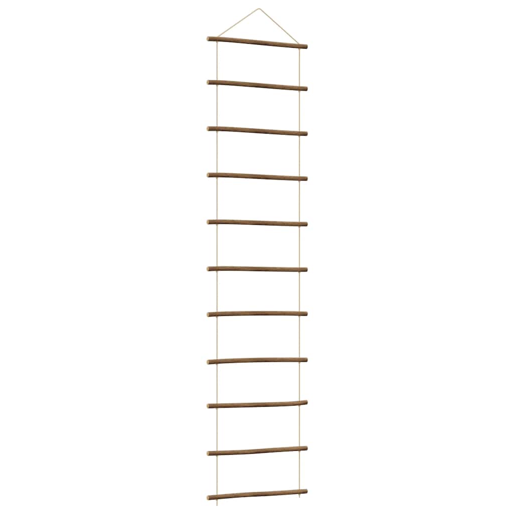 vidaXL Wall Decoration Ladder-Shaped 50x200 cm Natural Branch