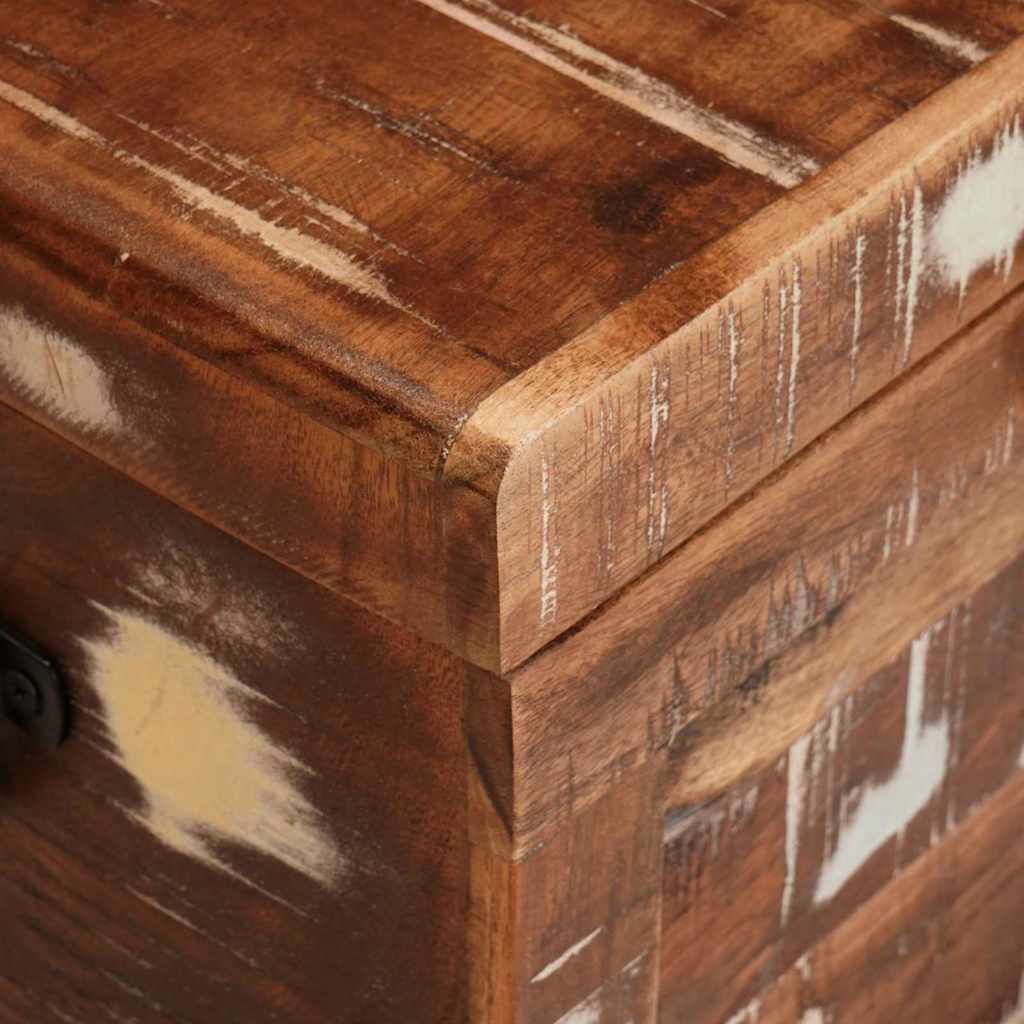 vidaXL Storage Box with Storage with Door Brown Solid Mango Wood