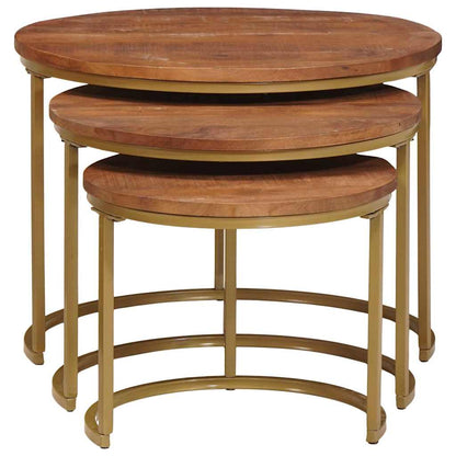 vidaXL Nesting Coffee Tables 3 pcs Honey Brown 60 x 60 x 45 cm