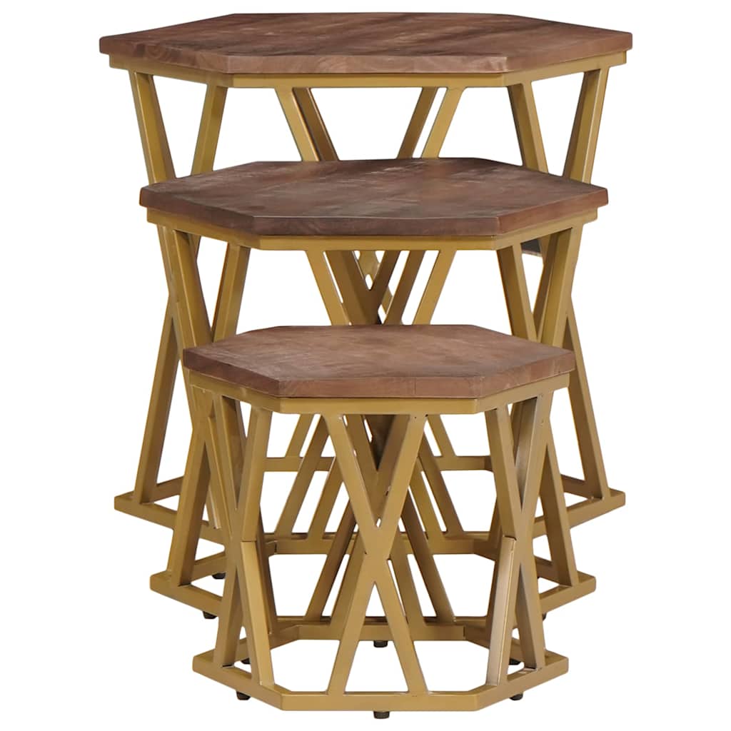 vidaXL Coffee Tables Brown 55 x 55 x 50 cm Solid Mango Wood