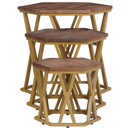 vidaXL Coffee Tables Brown 55 x 55 x 50 cm Solid Mango Wood