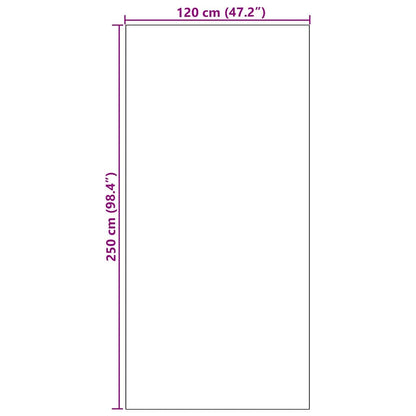 vidaXL Doormat Black 120 x 250 cm 100% Polyamide