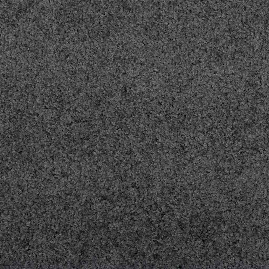 vidaXL Doormat Anthracite and Black 120 x 350 cm Polyamide and PVC