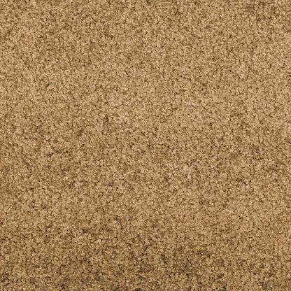 vidaXL Doormat Other Cream and Black 120 x 400 cm Polyamide and PVC