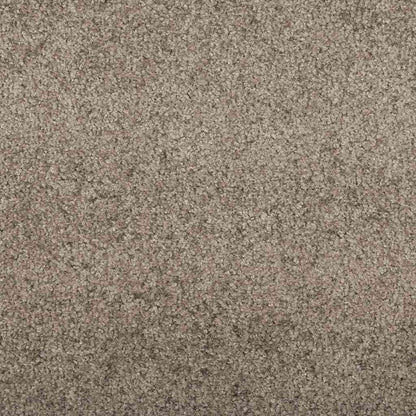 vidaXL Doormat Beige and Black 120 x 250 cm 100% Polyamide